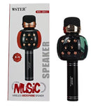 Portable Multi Function Wireless Microphone